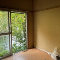 鎌倉市材木座二丁目の売買物件/掃き出し窓からも緑が