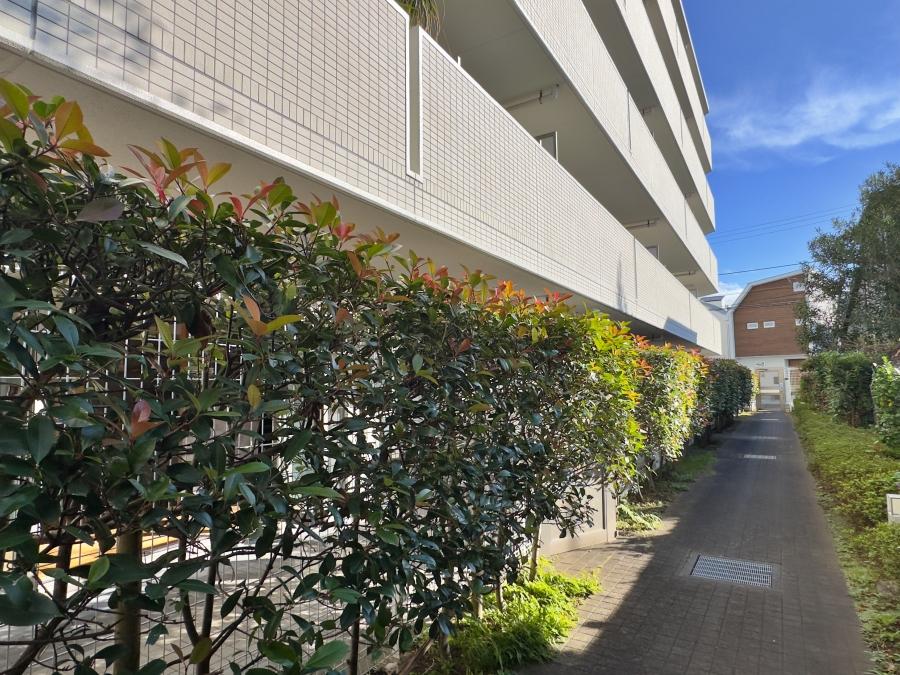 茅ヶ崎市柳島海岸の売買物件/外観｜テラスから抜けられる裏道は住民しか出入りできません