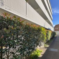 茅ヶ崎市柳島海岸の売買物件/外観｜テラスから抜けられる裏道は住民しか出入りできません