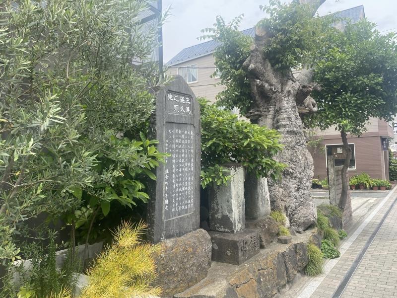 鎌倉市長谷一丁目の賃貸物件/建物前の市有地にある「主馬盛久之頸座の碑」