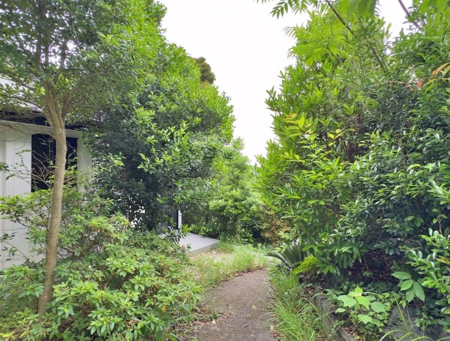 葉山町下山口の売買物件/離れの前の道｜離れまでは数段の階段があります