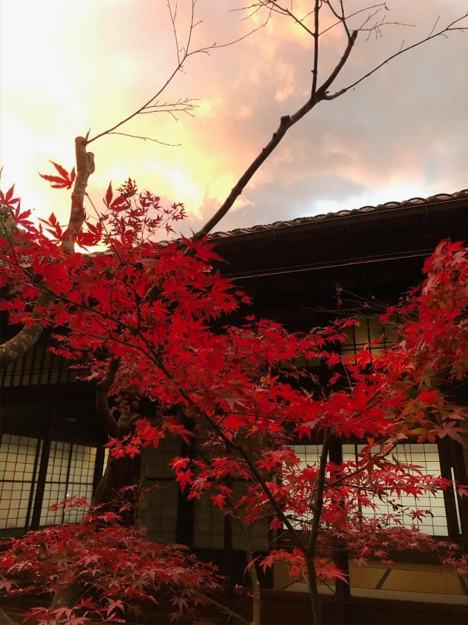 葉山町下山口の売買物件/紅葉と母屋（写真はオーナー提供）