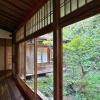 葉山町下山口の売買物件/縁側から庭を望む｜もみじの木が凛と伸びています