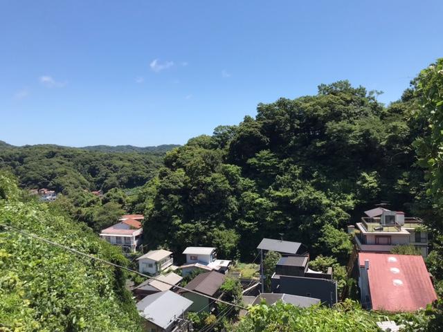 鎌倉市扇ガ谷四丁目の賃貸物件/眺望｜鎌倉駅方面はこんな感じ。