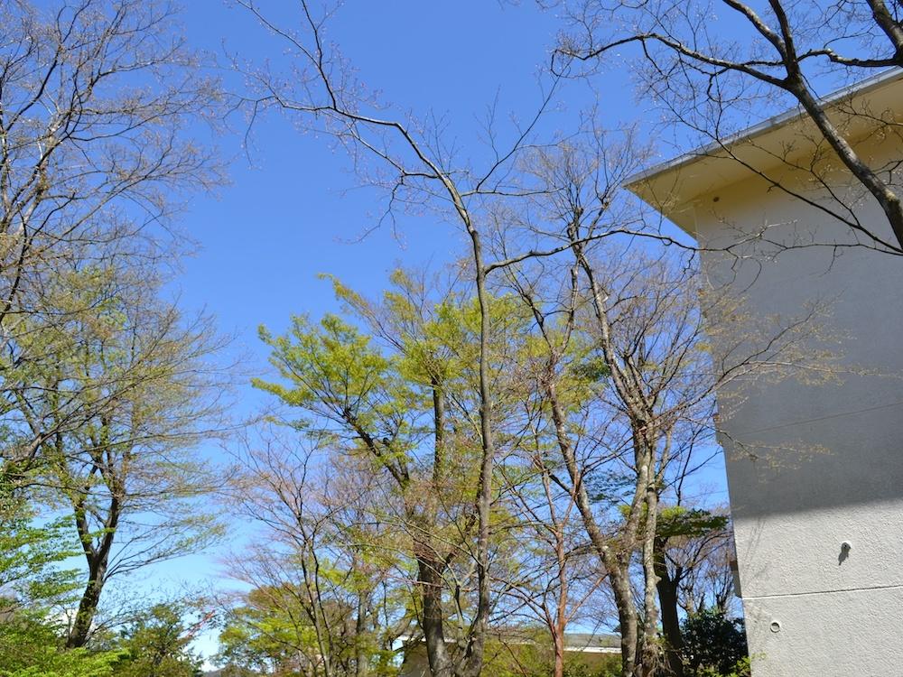 箱根町強羅の売買物件