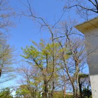 箱根町強羅の売買物件