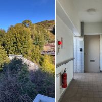 鎌倉市山ノ内の賃貸物件/周辺｜共用廊下｜共用階段からの風景は、もりもりしていました。