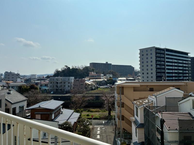 藤沢市鵠沼東の賃貸物件/川沿いの遊歩道に桜が咲いているのも見ることができます