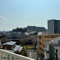 藤沢市鵠沼東の賃貸物件/川沿いの遊歩道に桜が咲いているのも見ることができます