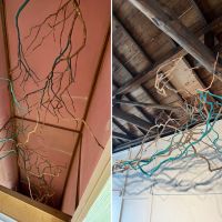 鎌倉市御成町の賃貸物件/ニッチは思い切ってアートを入れてみました｜dodotokyoによる作品により、生命力を感じる空間になりました