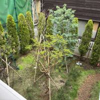 鎌倉市雪ノ下一丁目の賃貸物件/テラスからは中庭を見ることができます