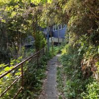 鎌倉市極楽寺三丁目の賃貸物件/アプローチ｜緑のトンネルを抜けた先にチラッと見えるのが物件