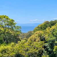 葉山町下山口の売買物件