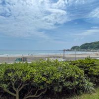 鎌倉市由比ガ浜四丁目の賃貸物件/共有の植栽から海。今日はロングでまったりとした波
