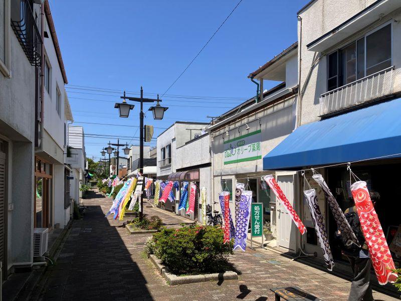 鎌倉市今泉台四丁目の賃貸物件/周辺｜商店街にはこいのぼりも泳いでました。