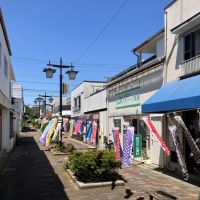 鎌倉市今泉台四丁目の賃貸物件/周辺｜商店街にはこいのぼりも泳いでました。