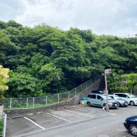 鎌倉市七里ガ浜東二丁目の売買物件/洋室6.3帖からの眺め│緑の向こうには、学校が隣接しています