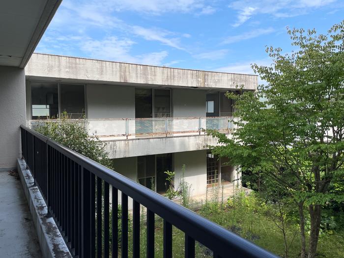 鎌倉市二階堂の売買物件/母屋、寝室から東側建物方向
