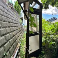 横須賀市船越町四丁目の売買物件/左：南側の擁壁｜右：サンルーム前の植物たち