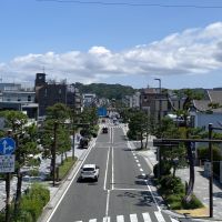 鎌倉市由比ガ浜二丁目の賃貸物件/周辺環境│由比ガ浜の歩道橋から鶴岡八幡宮を眺めてみる。建物は写真右側の通り沿いに見えます