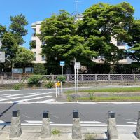 鎌倉市由比ガ浜二丁目の賃貸物件/周辺環境│1階エントランス正面の眺め。向かいの歩道にはベンチがいくつか置かれており、休憩している人と目が合うこともありそう