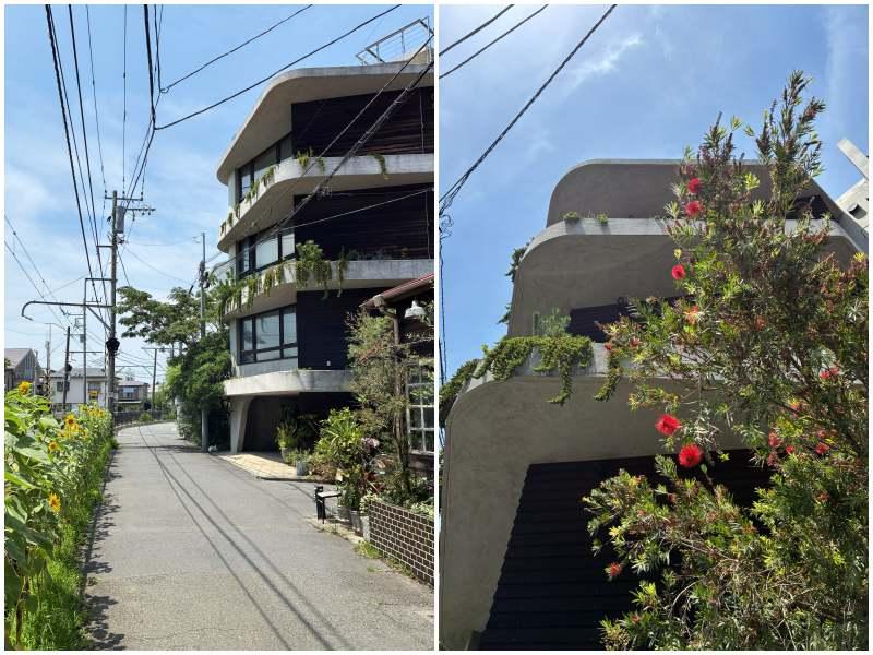 藤沢市片瀬四丁目の賃貸物件/左：江ノ電線路沿いにある建物。この時期はひまわりが咲いています｜右：建物を見上げて。バルコニーからも緑が降り注ぎます