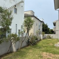 鎌倉市七里ガ浜二丁目の賃貸物件/庭