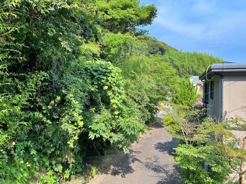 鎌倉市七里ガ浜東五丁目の売買物件/2階洋室6.6帖│住宅地に迫る豊かな緑。青空も気持ちがいい