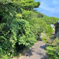 鎌倉市七里ガ浜東五丁目の売買物件/2階洋室6.6帖│住宅地に迫る豊かな緑。青空も気持ちがいい