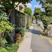 鎌倉市佐助一丁目の売買物件/敷地外の歩道に面した植栽は、季節の花々が植えられれていて、歩行者の目を楽しませています