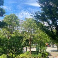 鎌倉市岡本の売買物件/共有部│玄関前から見た公園の様子