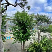 鎌倉市由比ガ浜三丁目の賃貸物件/駅のホームの反対側│幼稚園が隣接しています