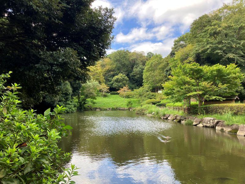 鎌倉市寺分 の売買物件/周辺｜緑豊かな鎌倉中央公園までも歩いてすぐ。近隣の方に愛される散歩コースです。