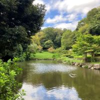 鎌倉市寺分 の売買物件/周辺｜緑豊かな鎌倉中央公園までも歩いてすぐ。近隣の方に愛される散歩コースです。