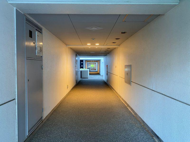 平塚市日向岡二丁目の売買物件/共用部│まっすぐ続くサイドウォークが美しい