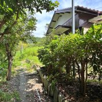 葉山町一色の賃貸物件/物件のアプローチ｜なんとなくジブリ感もあります