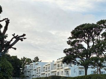 藤沢市辻堂太平台二丁目の売買物件/白と緑のちいさな団地