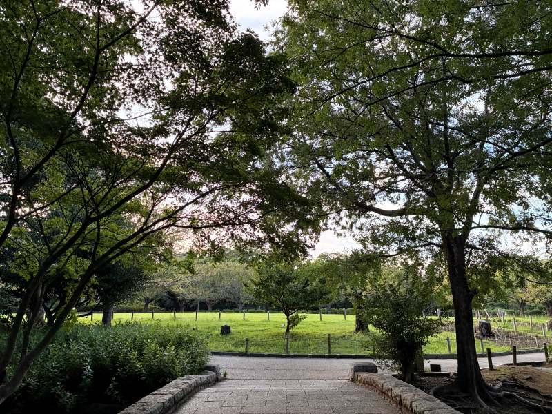 藤沢市辻堂太平台二丁目の売買物件/近くにある長久保公園の芝生広場。朝の散歩コースにぐるっといかがでしょう