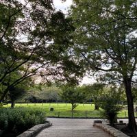 藤沢市辻堂太平台二丁目の売買物件/近くにある長久保公園の芝生広場。朝の散歩コースにぐるっといかがでしょう