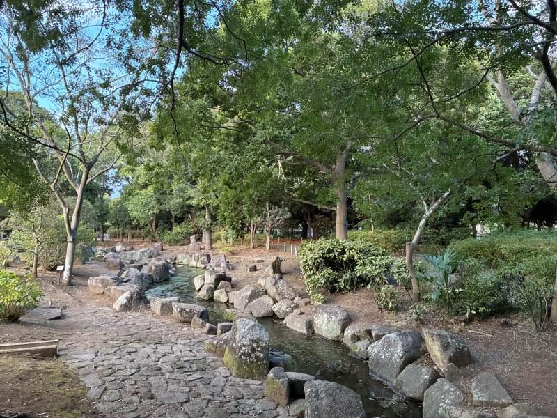 藤沢市辻堂太平台二丁目の売買物件/渓流広場や植物園があったりと、自然豊かな公園です