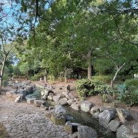藤沢市辻堂太平台二丁目の売買物件/渓流広場や植物園があったりと、自然豊かな公園です