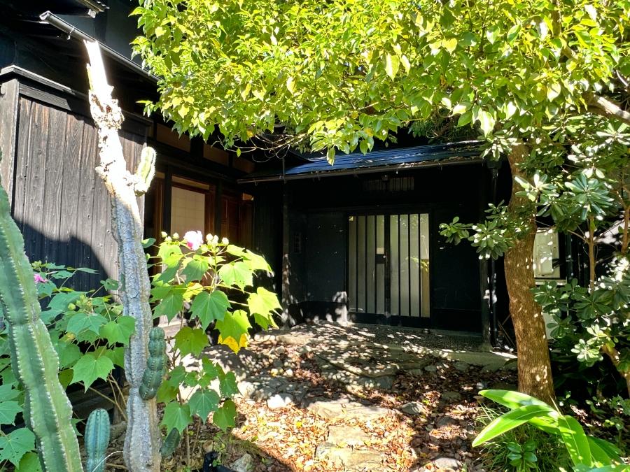 葉山町堀内の賃貸物件/晴れた日の玄関前｜期待に胸が高鳴ります