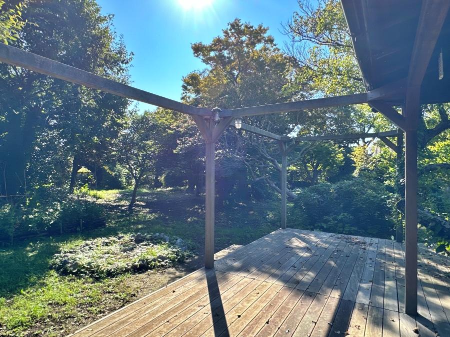 葉山町堀内の賃貸物件/ウッドデッキと庭｜この日は太陽の光が燦々と降り注いでいました