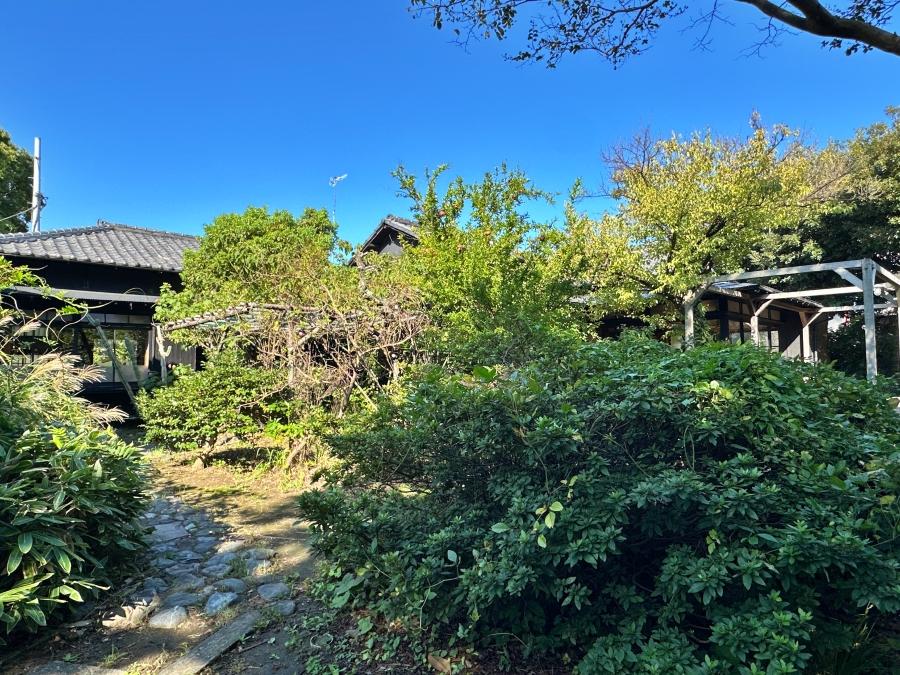葉山町堀内の賃貸物件/植栽に隠れた平家｜植栽たちが周辺との空気感をガラリと変え、物語に引き込む舞台装置としての役割を果たしていました