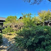 葉山町堀内の賃貸物件/植栽に隠れた平家｜植栽たちが周辺との空気感をガラリと変え、物語に引き込む舞台装置としての役割を果たしていました