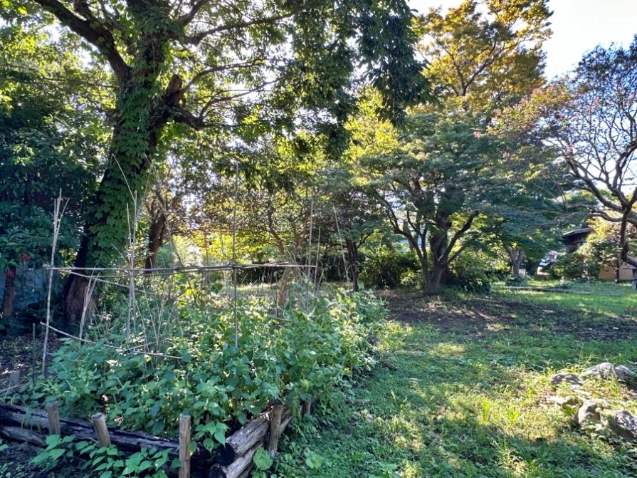 葉山町堀内の賃貸物件/庭｜ベンチを置いて腰掛けたくなる木陰もあれば、陽がサンサンと降り注ぐ開けた場所もあります