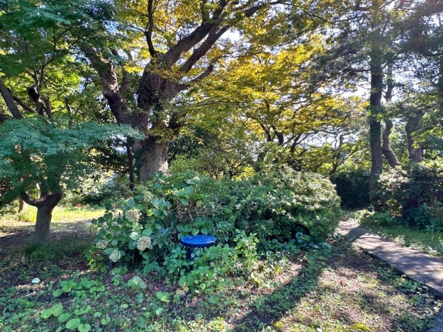 葉山町堀内の賃貸物件/庭｜雨がしとしと降る日も、木洩れ日がさす晴れの日も、どんな天気だってこの庭は魅力的です