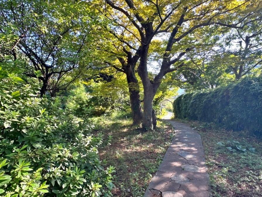 葉山町堀内の賃貸物件/アプローチ｜木漏れ日が石畳にさしています