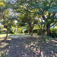 葉山町堀内の賃貸物件/庭｜野菜を作ってみたり、イベントを開いてみたり、周辺に配慮しつつ、ぜひ素敵な活用方法を考えてみてください