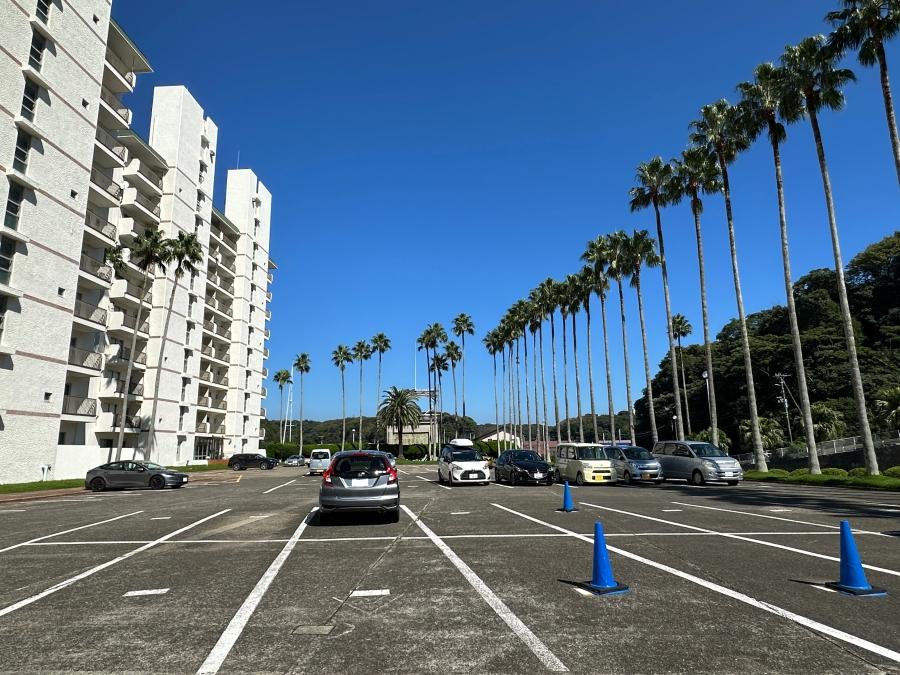 三浦市三崎町小網代の売買物件/外観とヤシの木｜背の高いヤシの木が南国感を演出しています